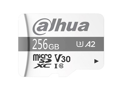 Dahua 256GB MicroSD Video Surveillance Card TF-P100/256G